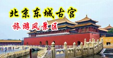 小鸡鸡插饺子皮中国北京-东城古宫旅游风景区